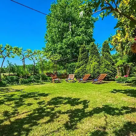 Adorata 1 Apartmán Vinež